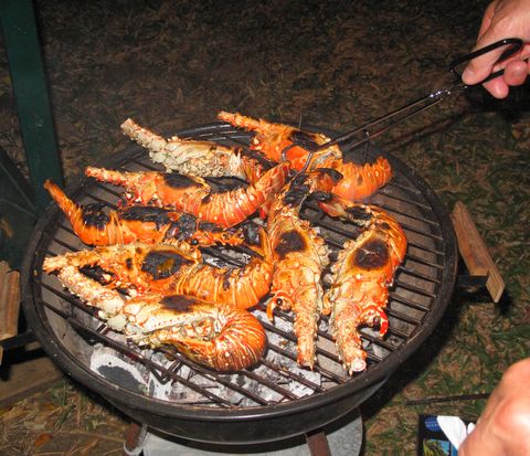 Langouste royale chez Bleu des Iles - location de bungalows à Deshaies en Guadeloupe