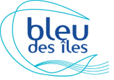 bleudesiles